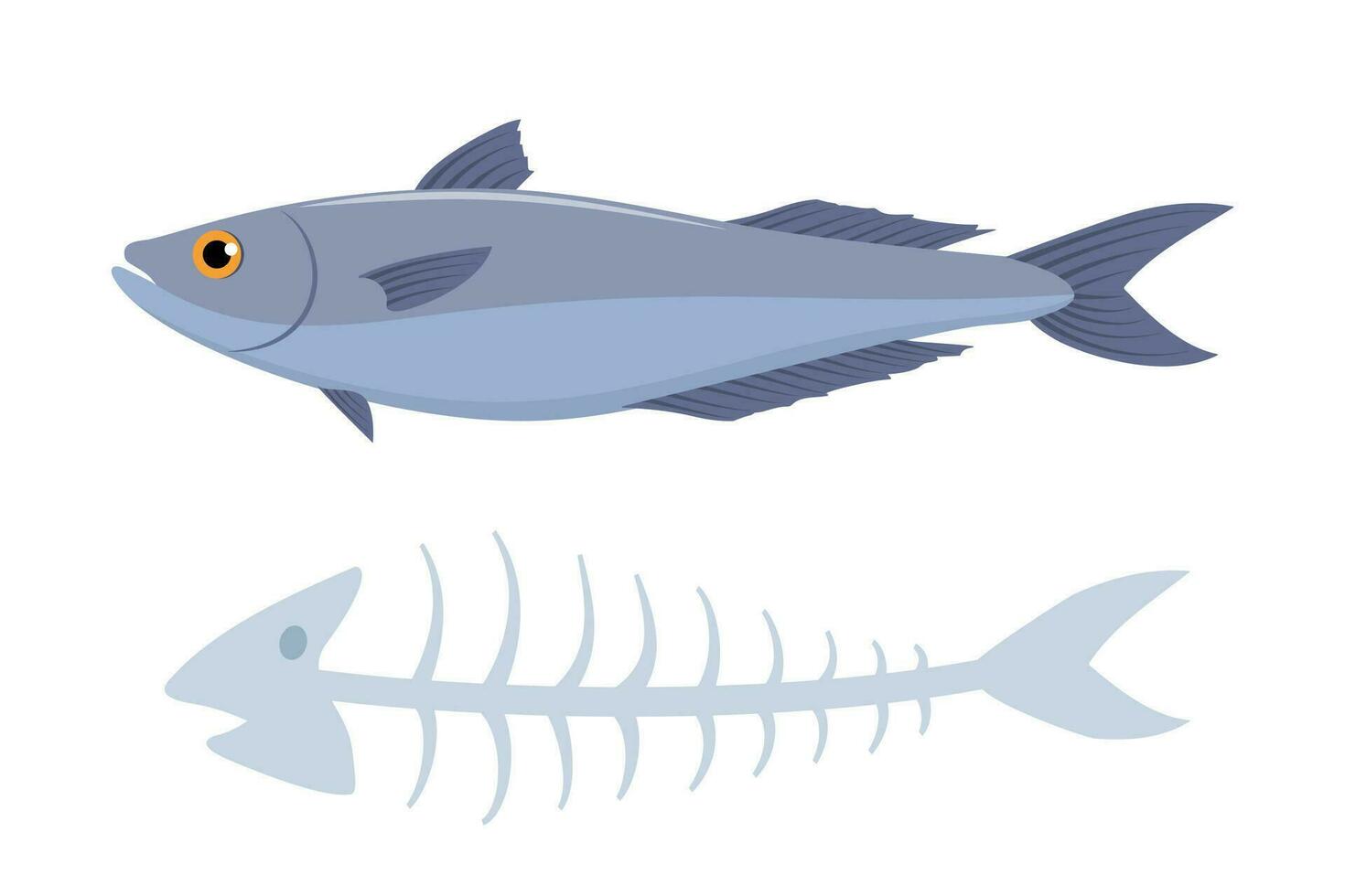 pesce con il suo lisca di pesce, su bianca sfondo. biologico sciupare. vettore illustrazione.