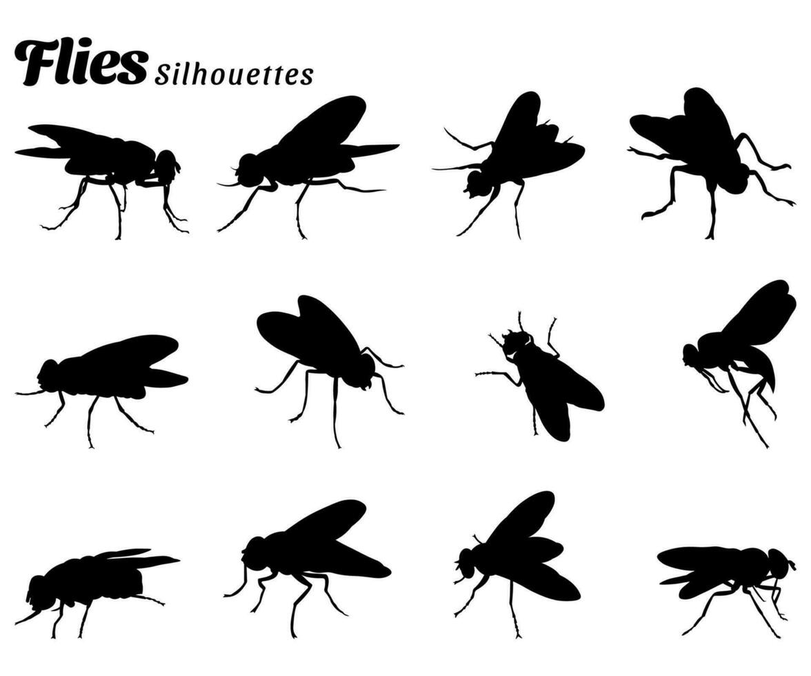 collezione di vettore illustrazioni di mosche insetto animale sagome