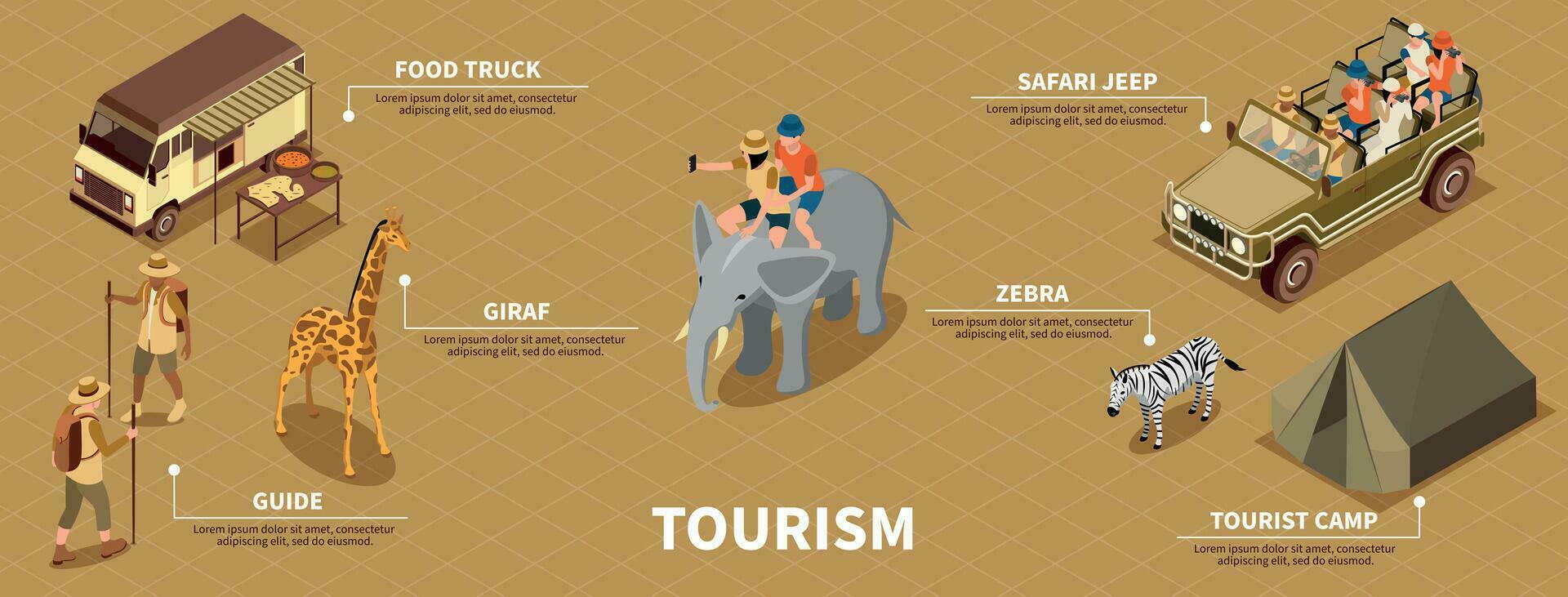 safari turista Infografica impostato vettore