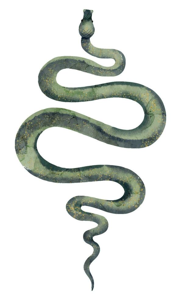 serpente su bianca isolato sfondo. acquerello illustrazione di velenoso serpente. mano disegnato clip arte di occulto vipera. disegno di verde pitone. schizzo di cobra velenoso animale. pittura di anaconda. vettore