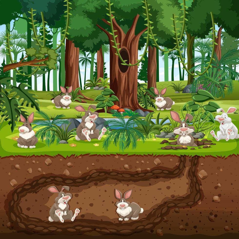 tana sotterranea degli animali con la famiglia dei conigli vettore