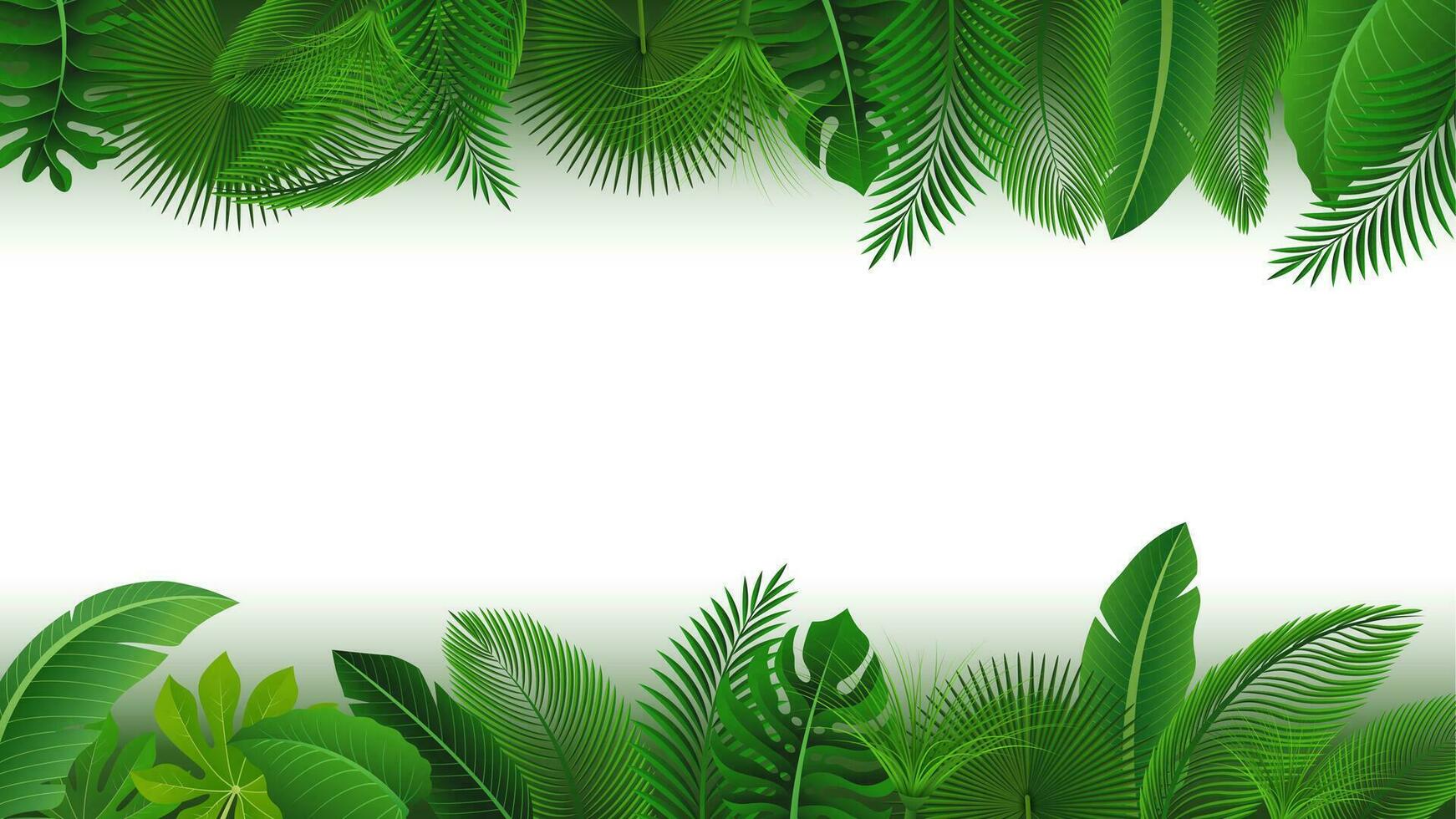 sfondo di tropicale le foglie. adatto per natura concetto, vacanza, e estate vacanza, vettore illustrazione