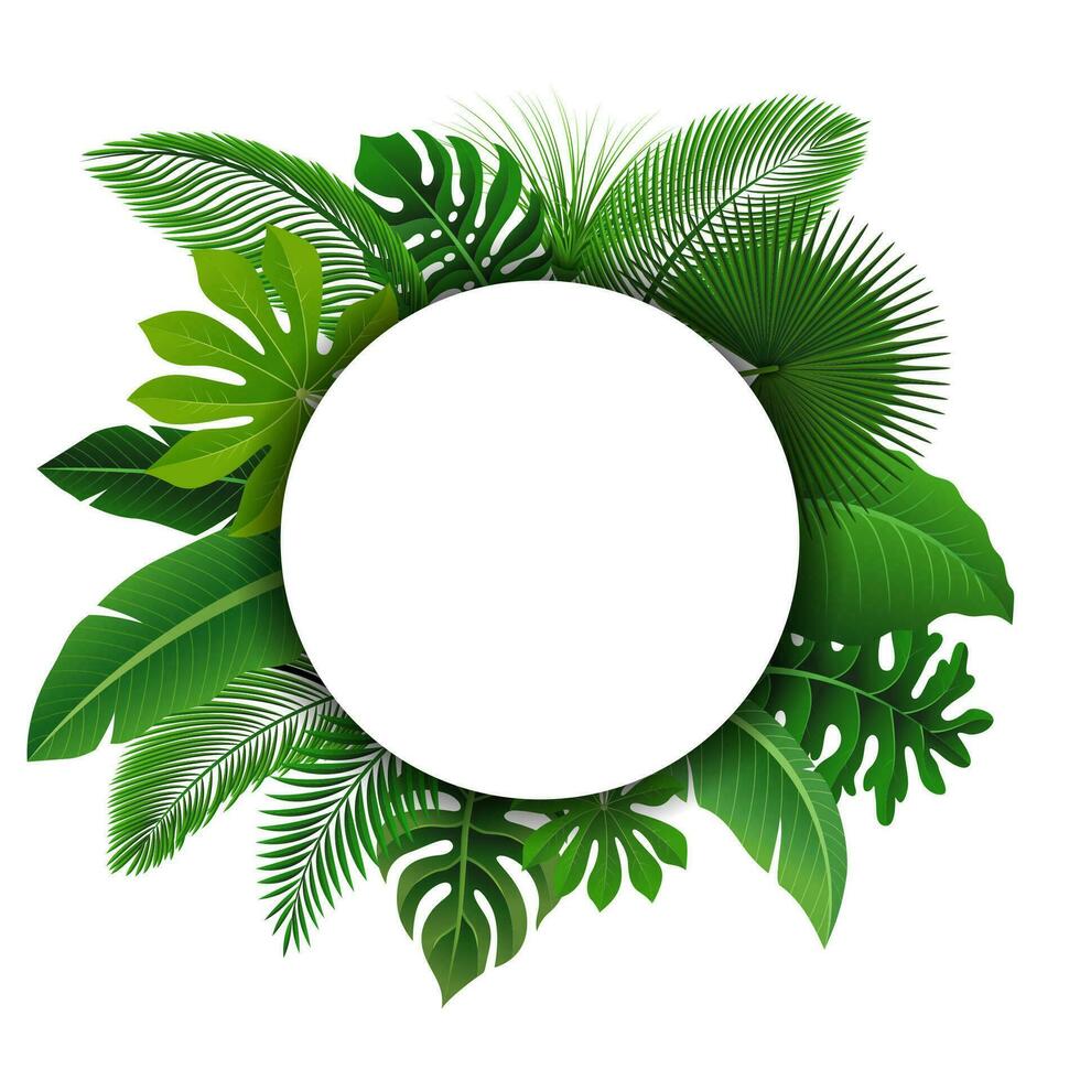il giro cartello con testo spazio di tropicale le foglie. adatto per natura concetto, vacanza, e estate vacanza, vettore illustrazione