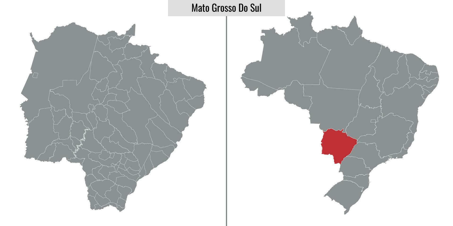 carta geografica stato di brasile vettore
