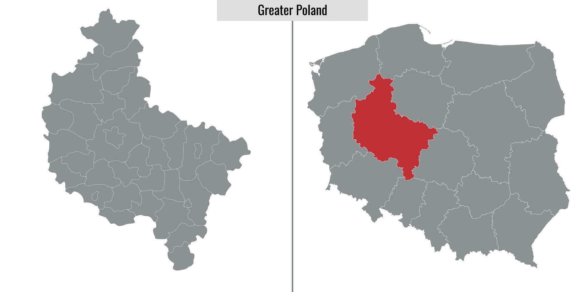 carta geografica Provincia di Polonia vettore