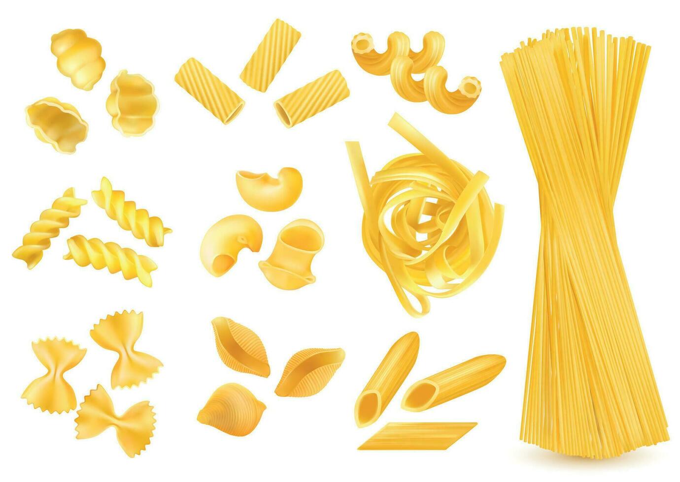 pasta realistico impostato vettore