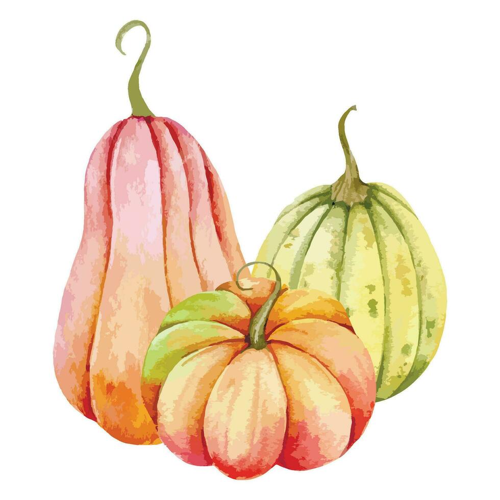 autunno ringraziamento acquerello zucche preparativi su bianca sfondo. colorato zucche acquerello illustrazione mano dipinto vettore