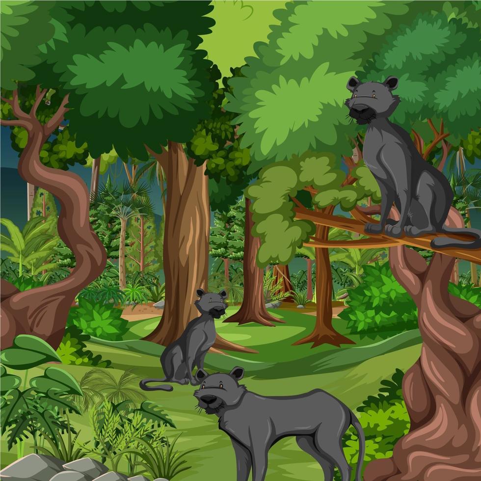 scena della foresta o della foresta pluviale con la famiglia della pantera nera vettore