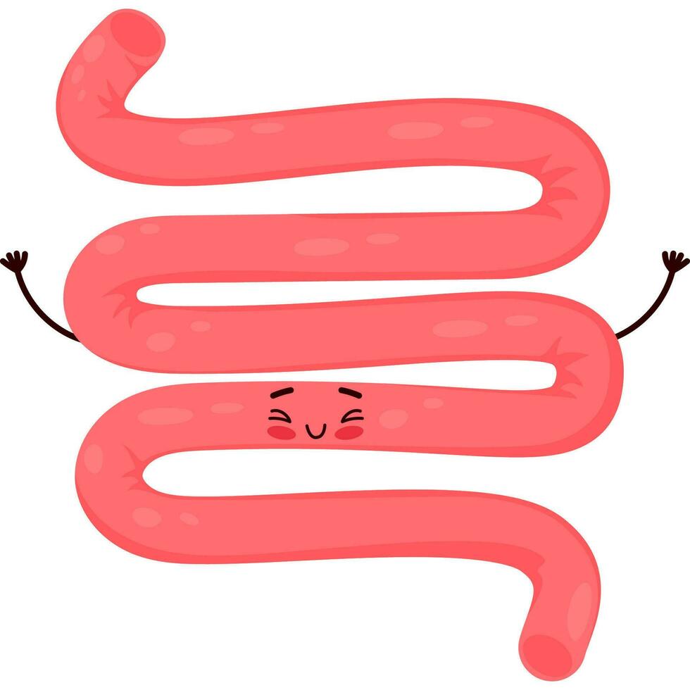 cartone animato personaggio organo piccolo intestino vettore