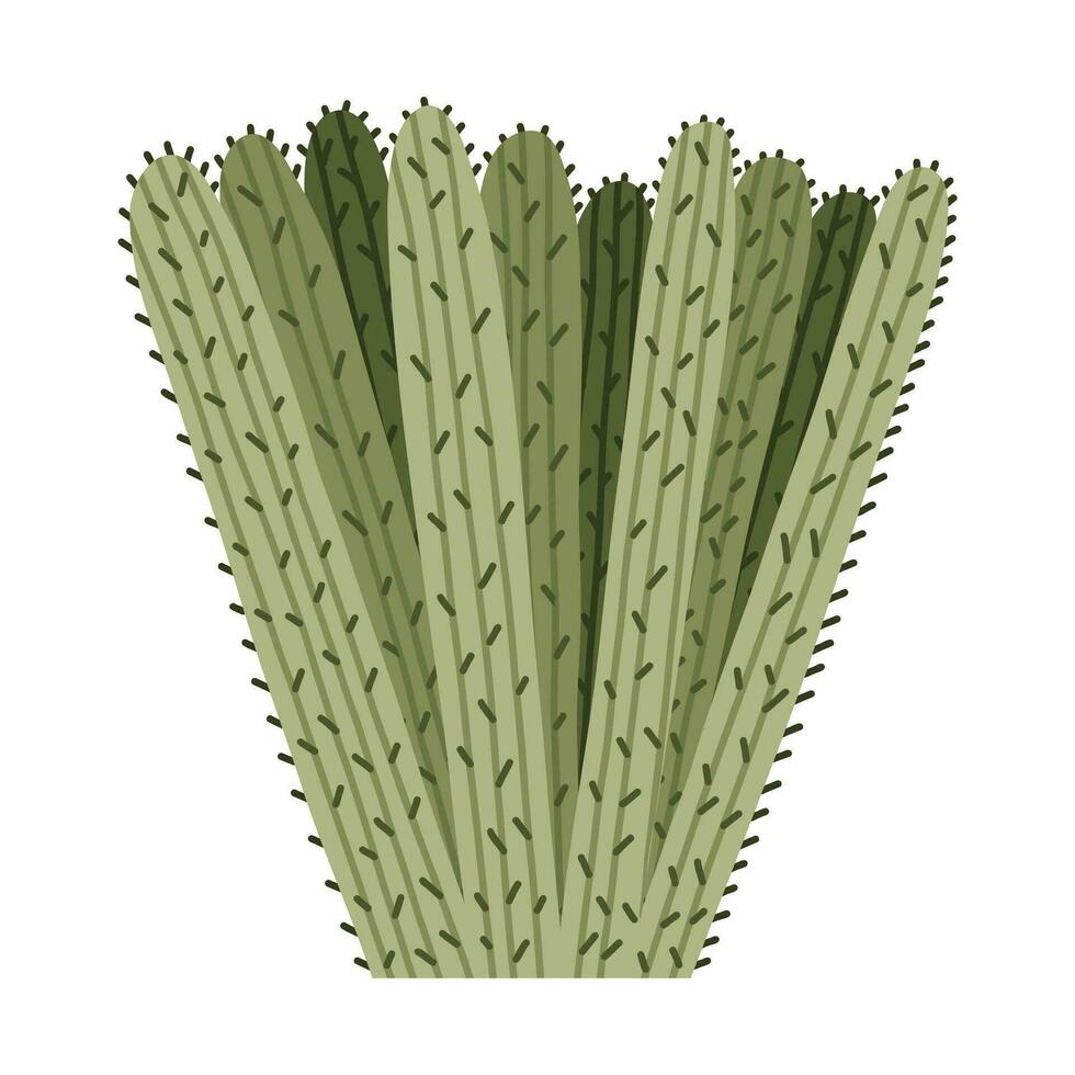 carino mano disegnato cactus a partire dal Messico o selvaggio ovest deserto. vettore semplice cactus fiore con spine nel cartone animato stile. messicano coperto di spine esotico pianta isolato su bianca sfondo.