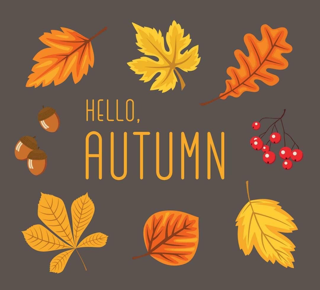 impostato di luminosa giallo e arancia autunno le foglie. Ciao autunno cartolina design. elementi può essere Usato per modello o qualunque altro design vettore