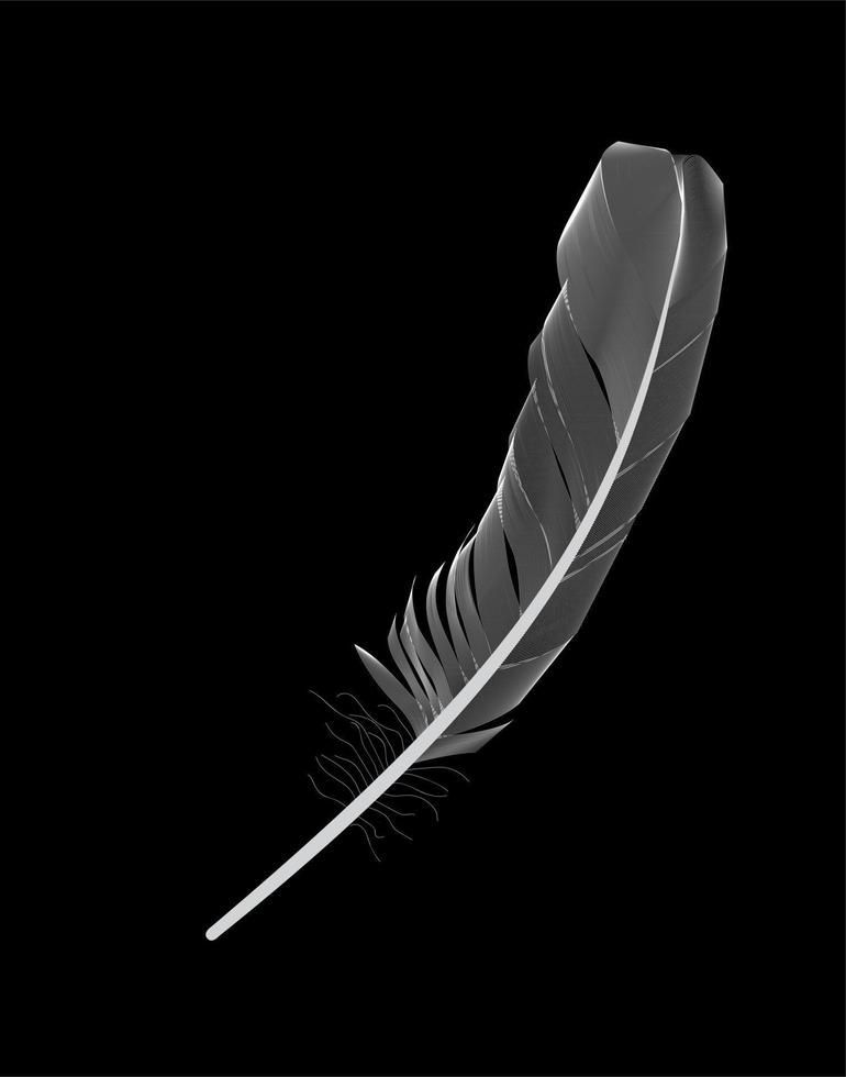 piuma di uccello bianca disegnata su sfondo nero. illustrazione vettoriale