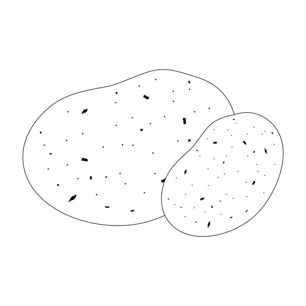 colorazione.patata libro. mano disegnato patate vettore illustrazione isolato su bianca sfondo.