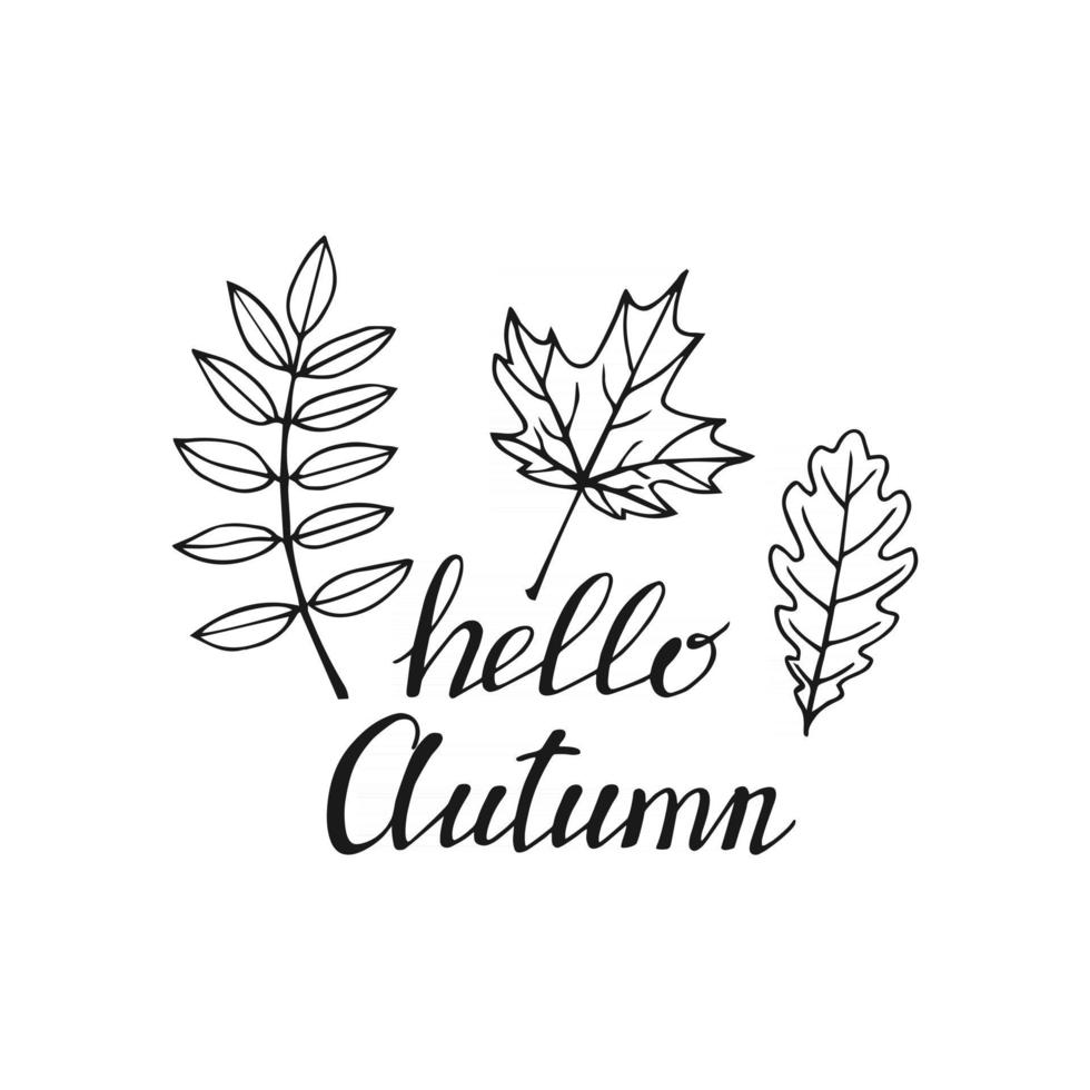 lettering disegnato a mano con elementi decorativi, foglie autunnali. testo ciao autunno sullo sfondo bianco. illustrazione vettoriale. perfetto per stampe, volantini, striscioni, inviti vettore