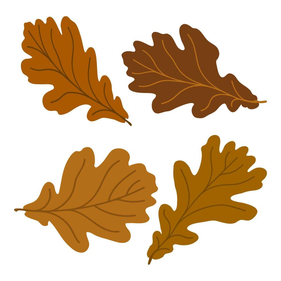 impostato di vettore sagome di colorato quercia le foglie