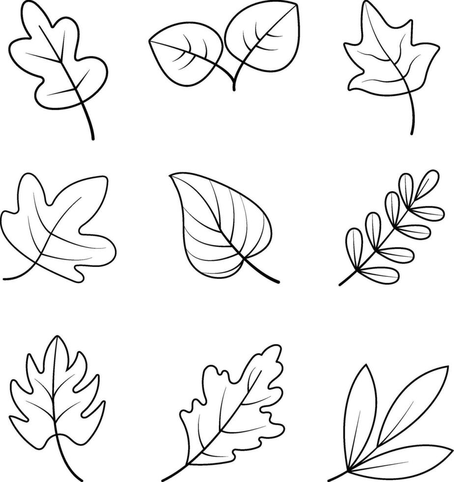 le foglie linea arte forma. vettore illustrazione