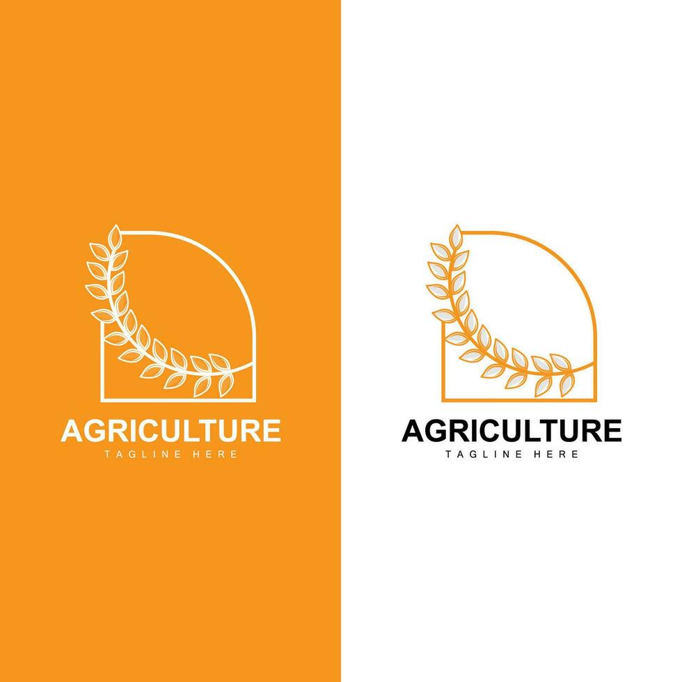 riso logo, azienda agricola Grano logo disegno, vettore simbolo icona grafico illustrazione