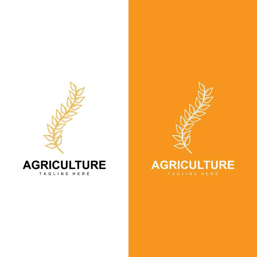 riso logo, azienda agricola Grano logo disegno, vettore simbolo icona grafico illustrazione