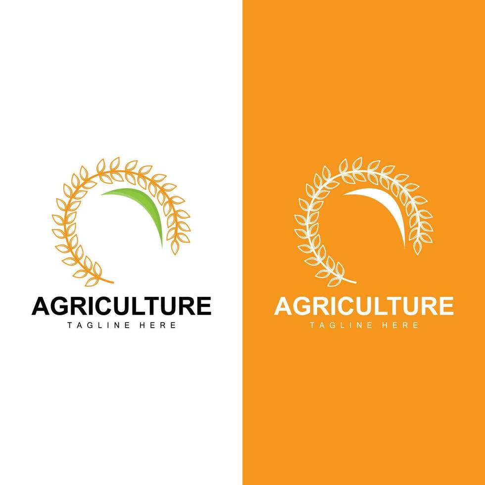 riso logo, azienda agricola Grano logo disegno, vettore simbolo icona grafico illustrazione