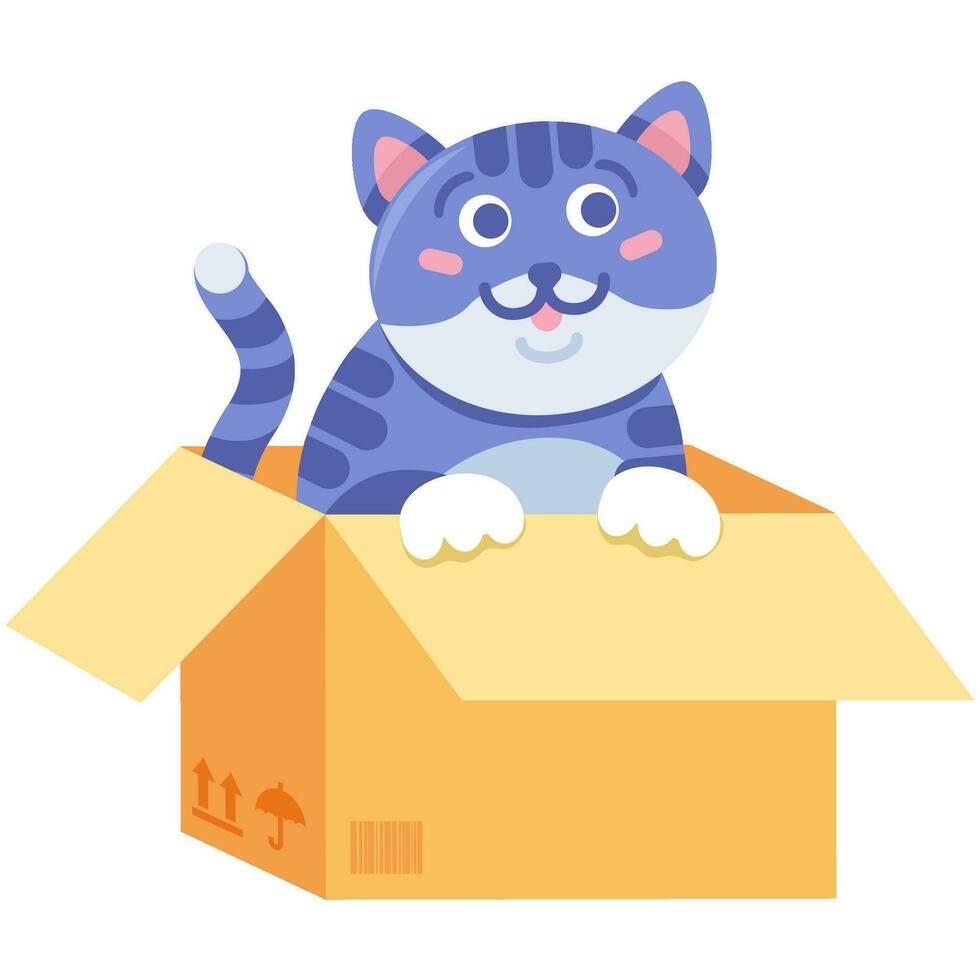 senza casa soffice gattino cartone scatola concetto vettore