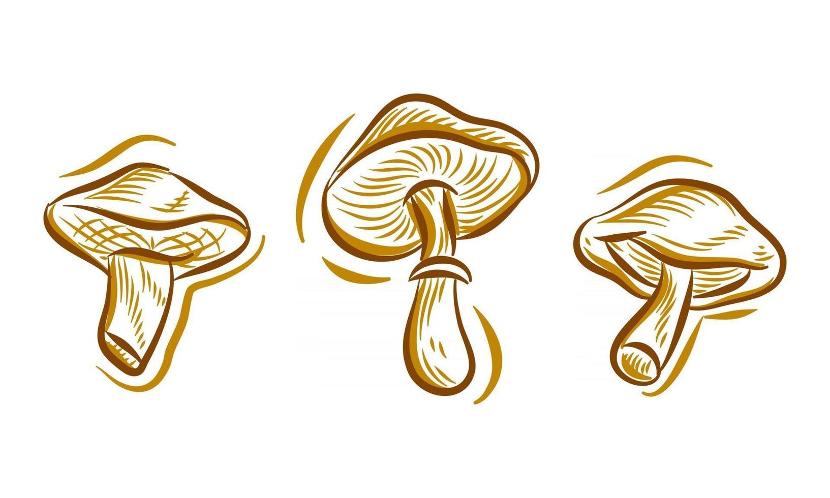 set di illustrazione di disegno a mano di funghi scarabocchio per elemento di sfondo del logo del marchio vettore