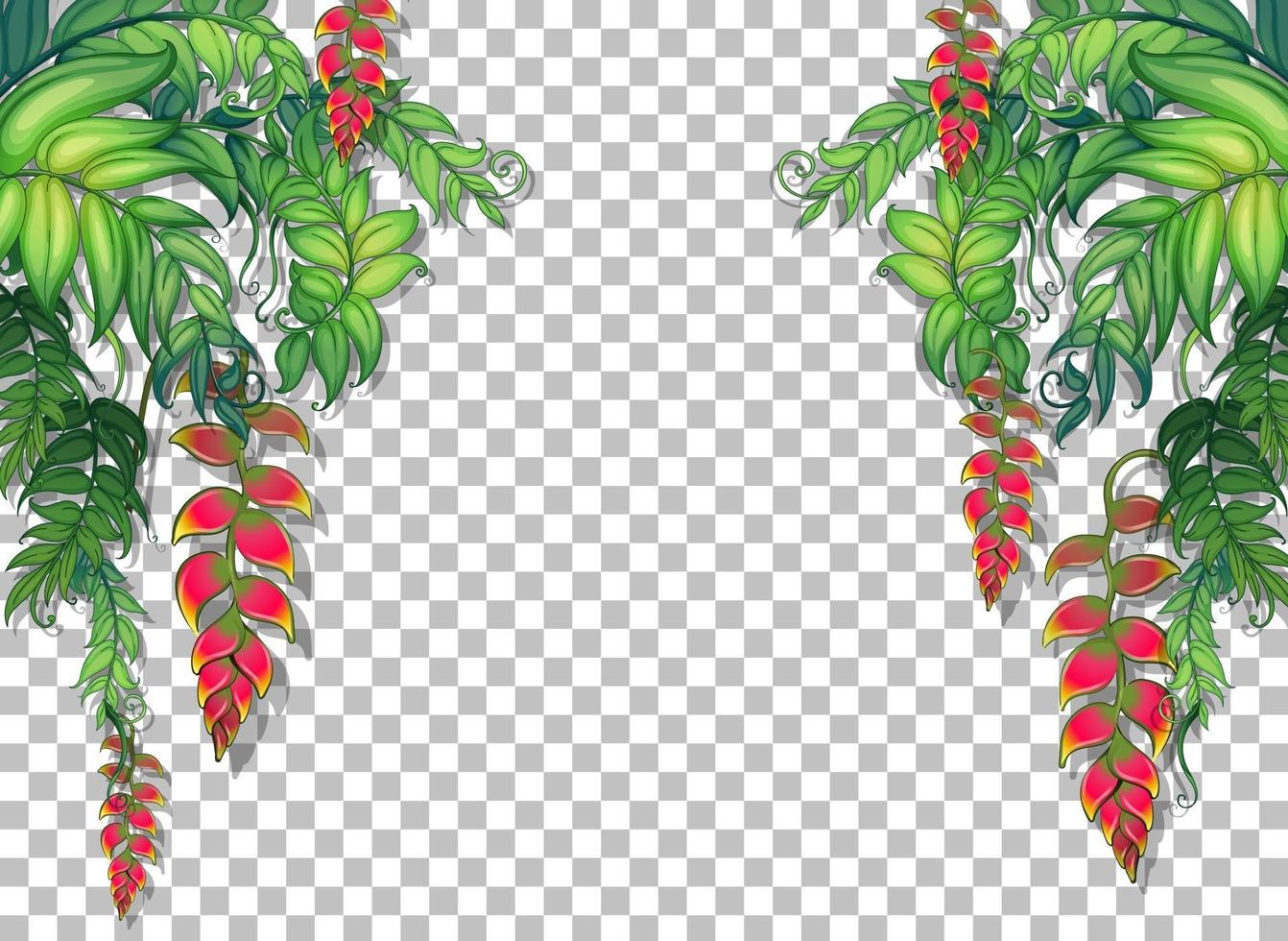 cornice di piante e foglie tropicali vettore
