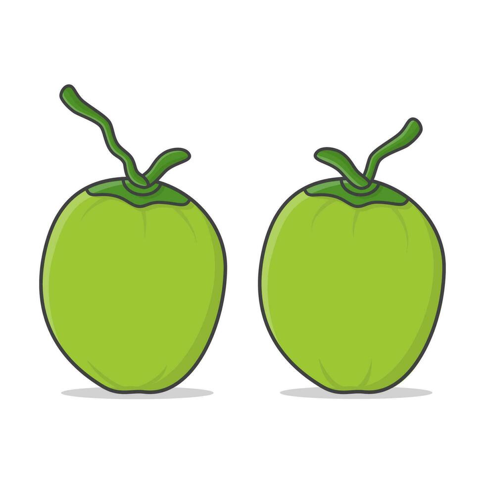 Due verde noci di cocco vettore icona illustrazione. fresco giovane noci di cocco icona