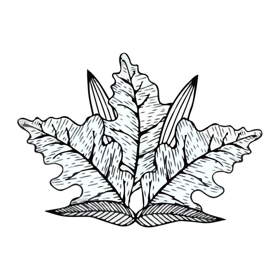 disegnato a mano composizione di autunno le foglie nel scarabocchio stile. vettore illustrazione isolato su bianca sfondo.