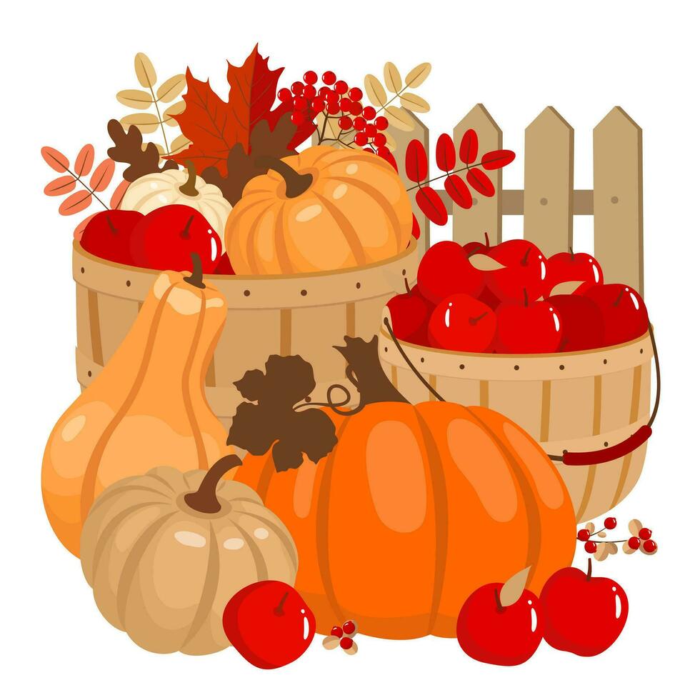 zucche e mele raccogliere nel di vimini cesti impostare. zucche di diverso personaggi, autunno foglie, rosso mele, recinzione. illustrato vettore clipart.