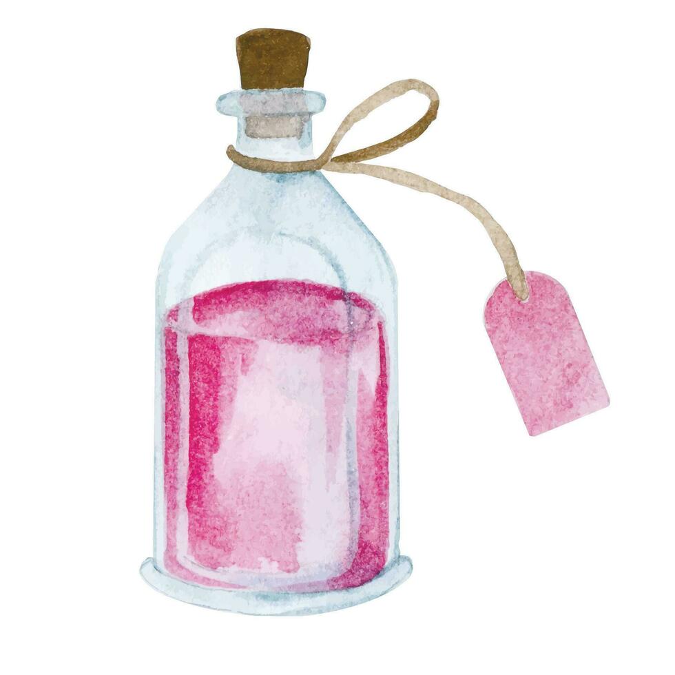 acquerello disegno, rosa pozione nel un' Vintage ▾ bottiglia. amore pozione, stregoneria, Magia vettore