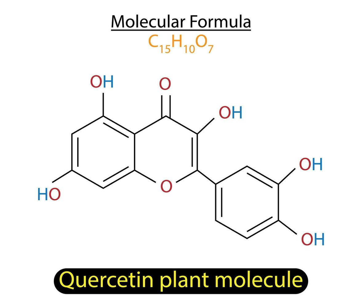 quercetina pianta molecola scheletrico formula vettore illustrazione.