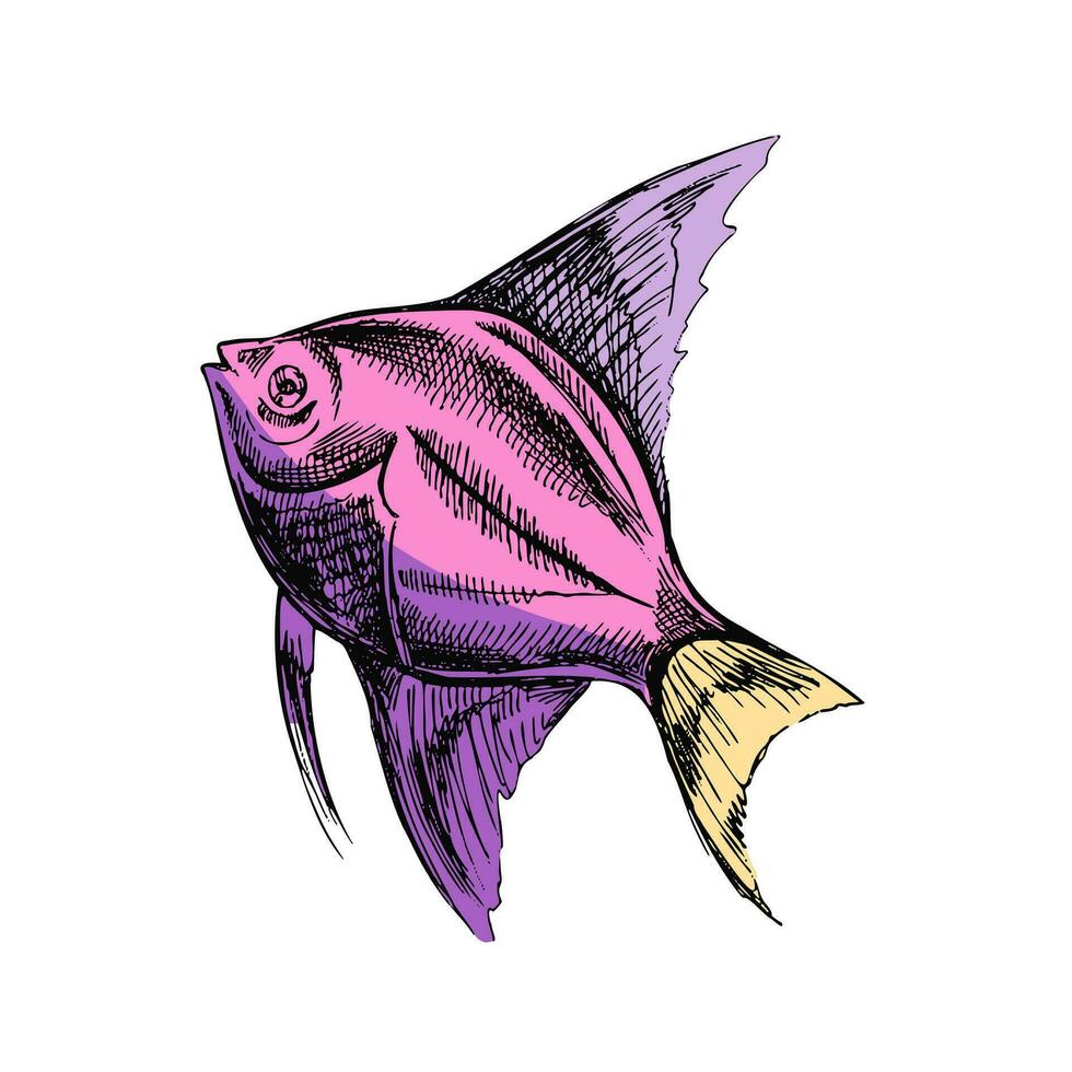 tropicale pesce illustrazione, disegno, incisione, inchiostro, linea arte, vettore. pesce colorato schizzo mano disegno. vettore acquatico monocromatico illustrazione isolato su bianca sfondo.