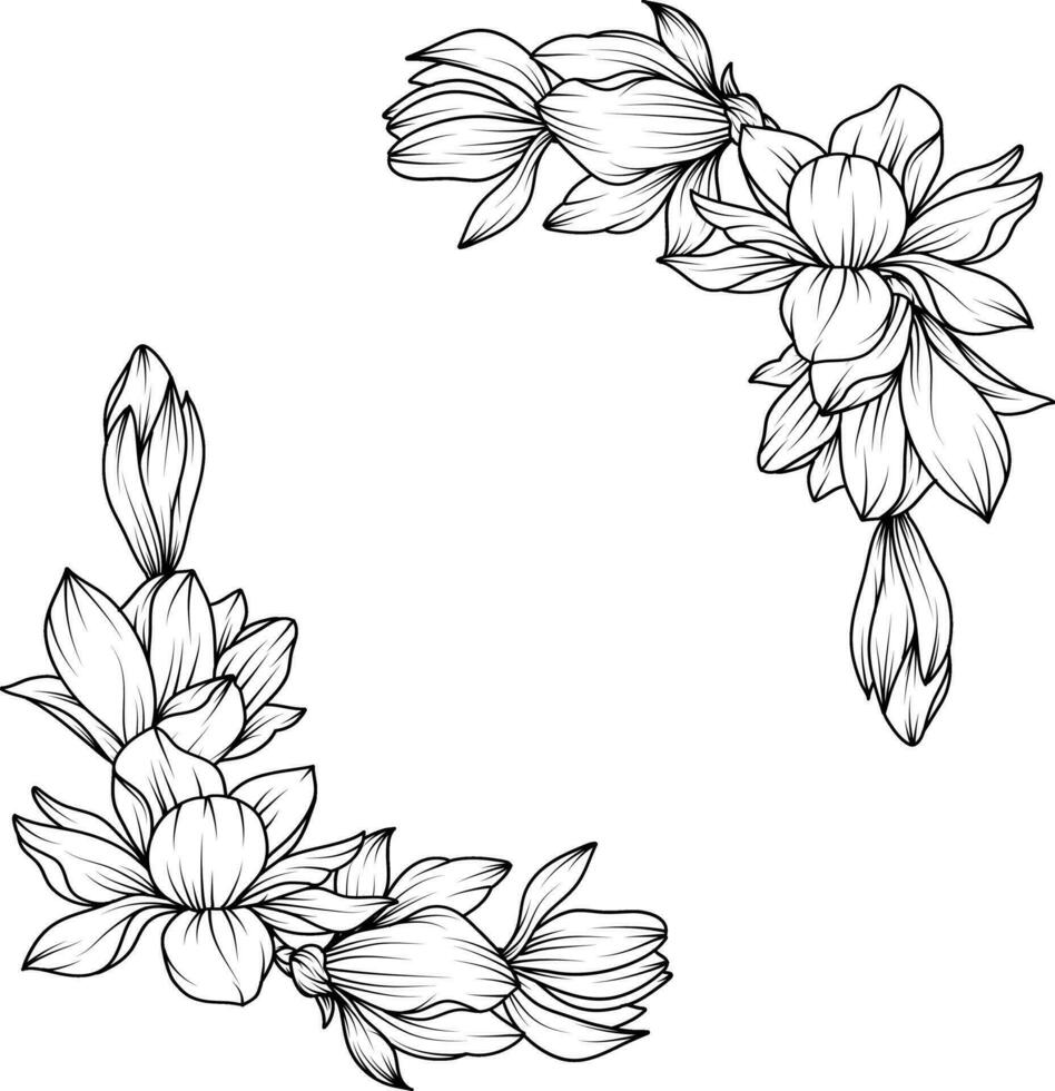 magnolia fiore. schizzo con nero e bianca linea arte di magnolia fiori. vettore