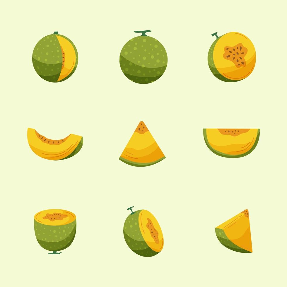 icon pack frutti di melone vettore
