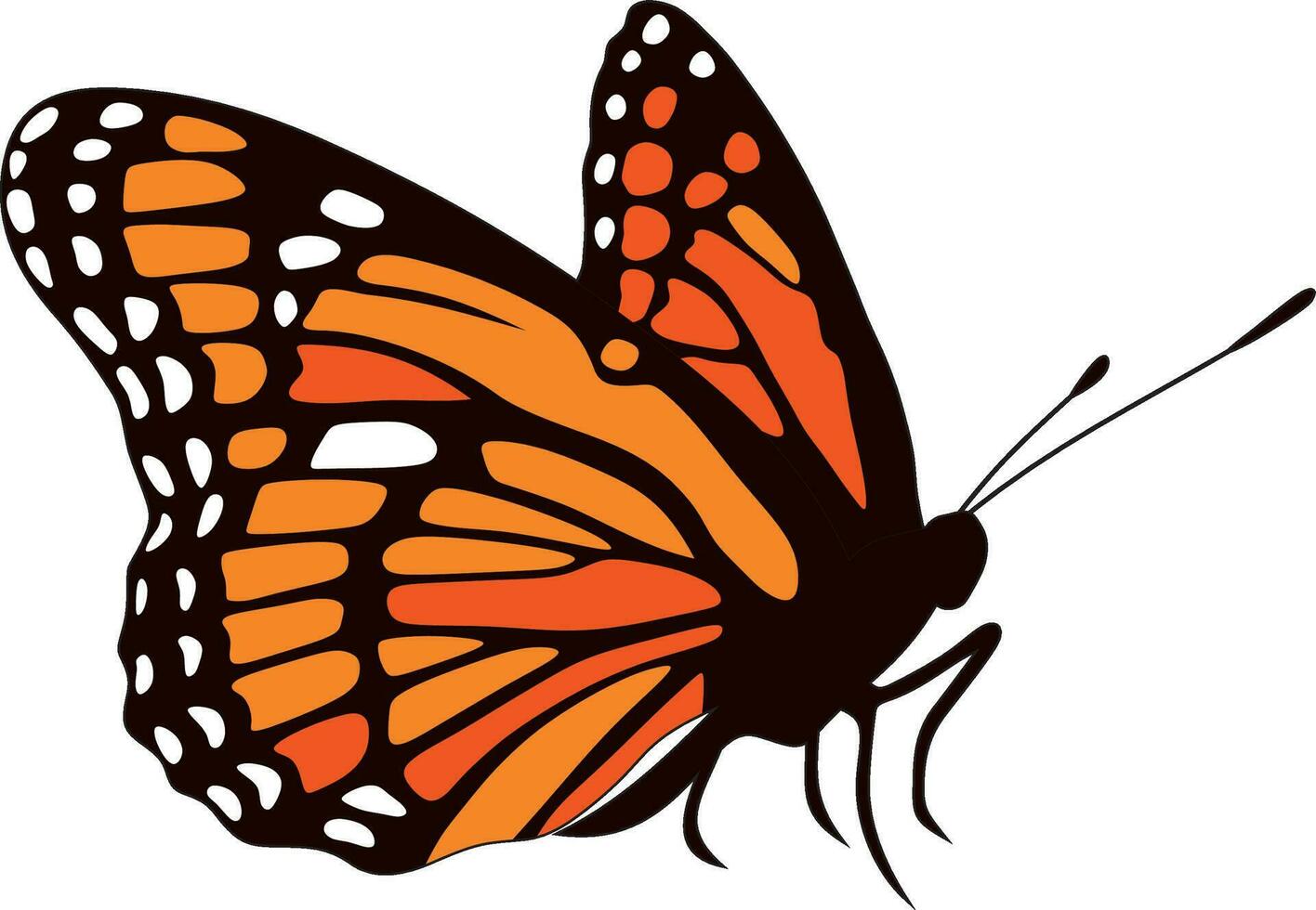 vettore arancia monarca la farfalla. un' bellissimo insetto con grande colorato Ali. disegno di un' volante scarafaggio