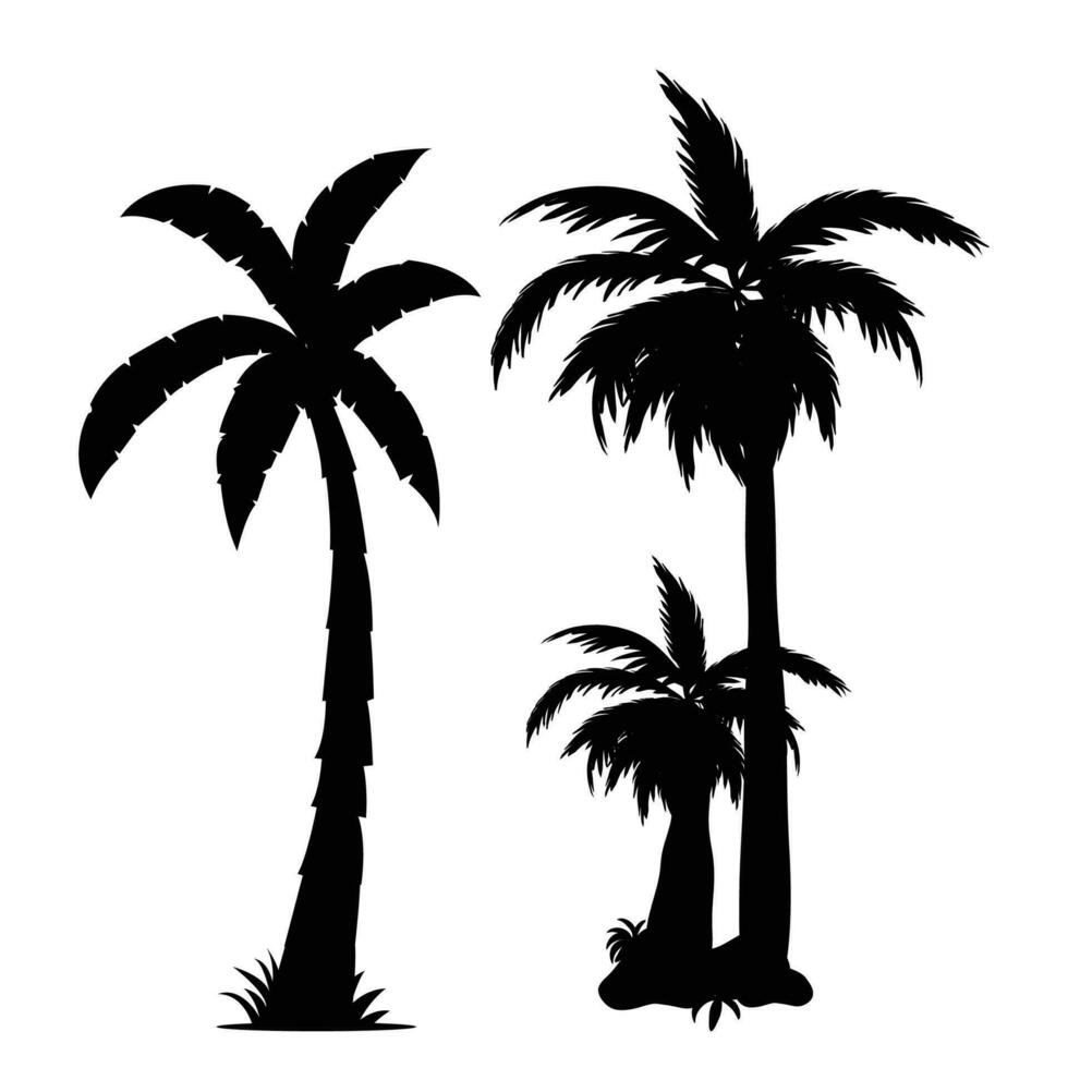 vettore palma albero silhouette su bianca