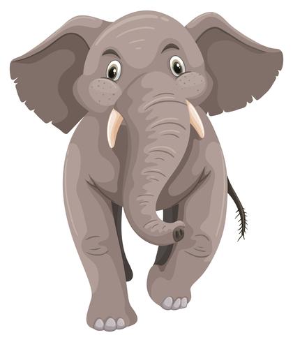 Elefantino con pelle grigia vettore