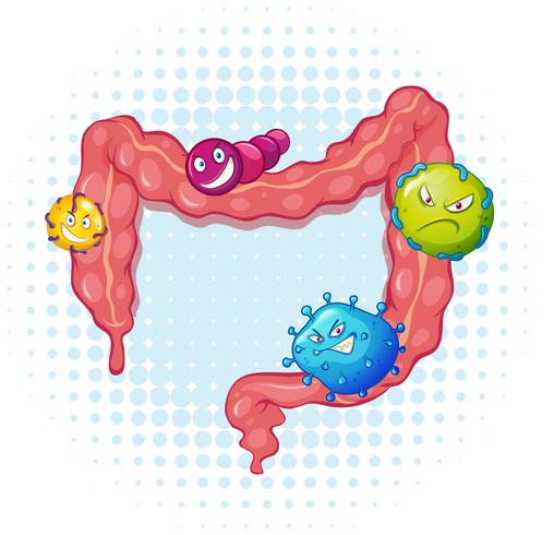 Intestino con molti batteri vettore