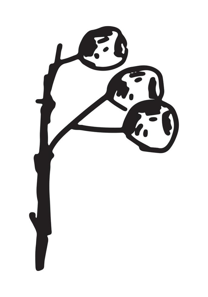 schema clipart di ramoscello con bacca. scarabocchio di autunno raccolto. mano disegnato vettore illustrazione isolato su bianca sfondo.