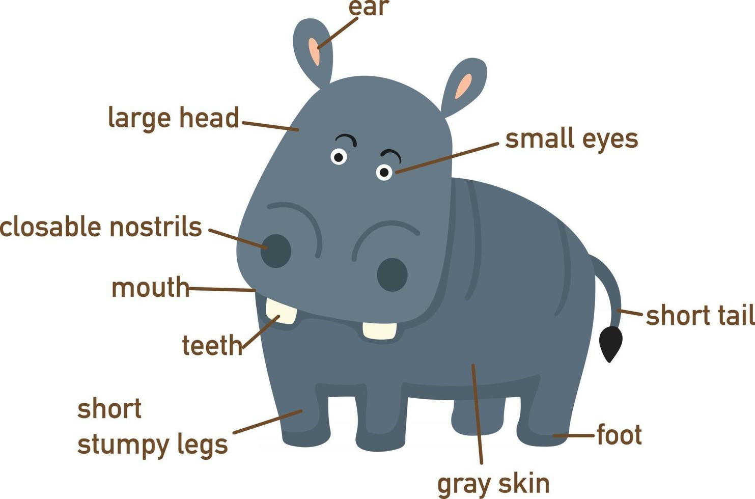 illustrazione del vocabolario di ippopotamo parte di body.vector vettore