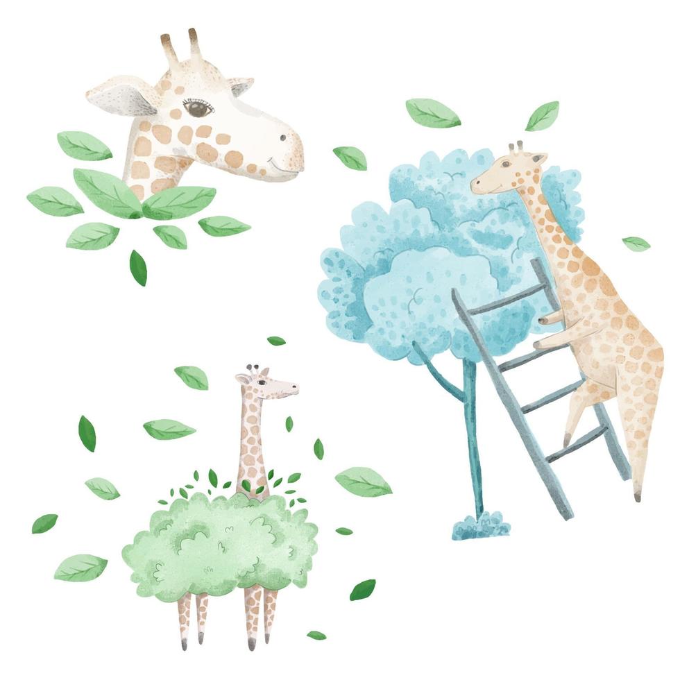 un set di animali ad acquerello composto da 3 giraffe vettore