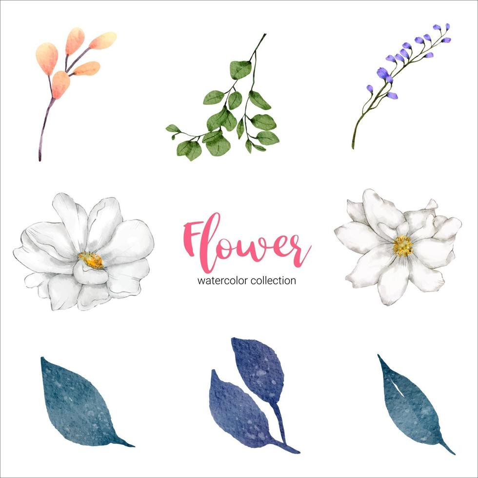 collezione di illustrazione ad acquerello bellissimo fiore vettore