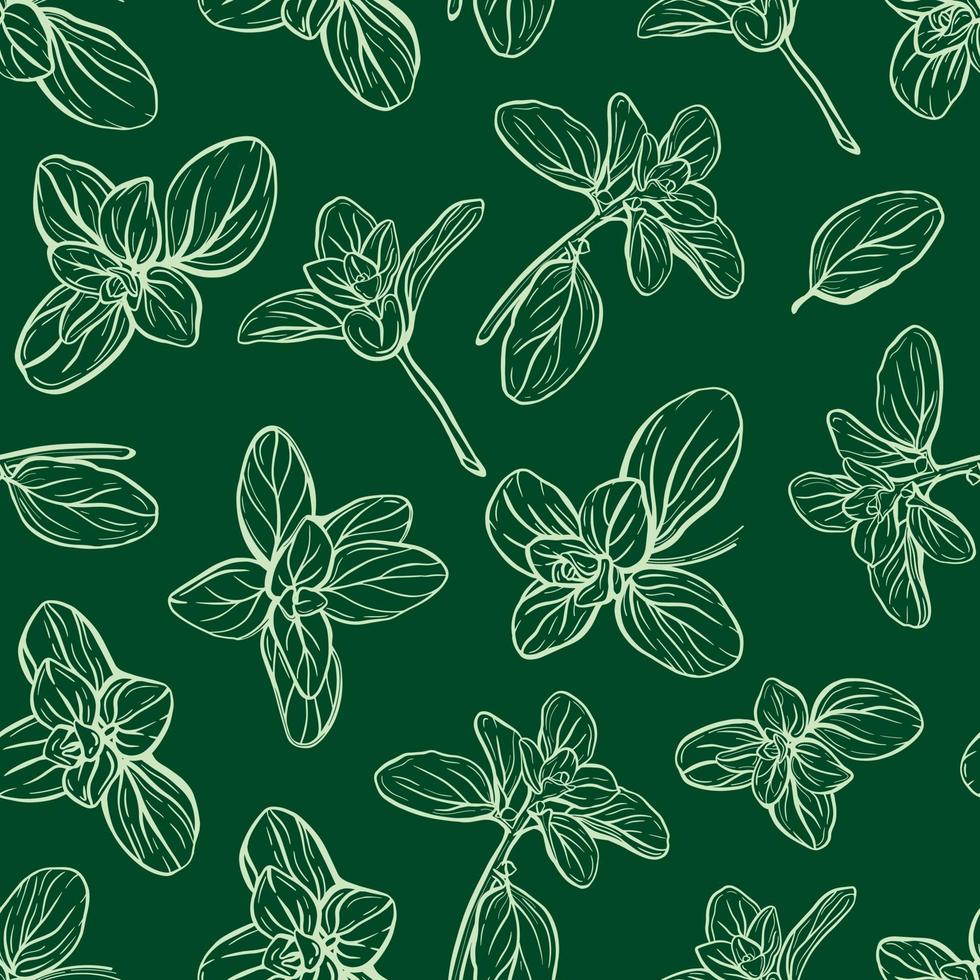 foglie di basilico ed erbe seamless pattern vettore