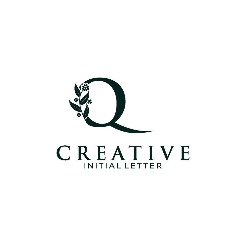 iniziale lettera q e floreale logo vettore, botanico minimalista lettera femminile logo design modello vettore
