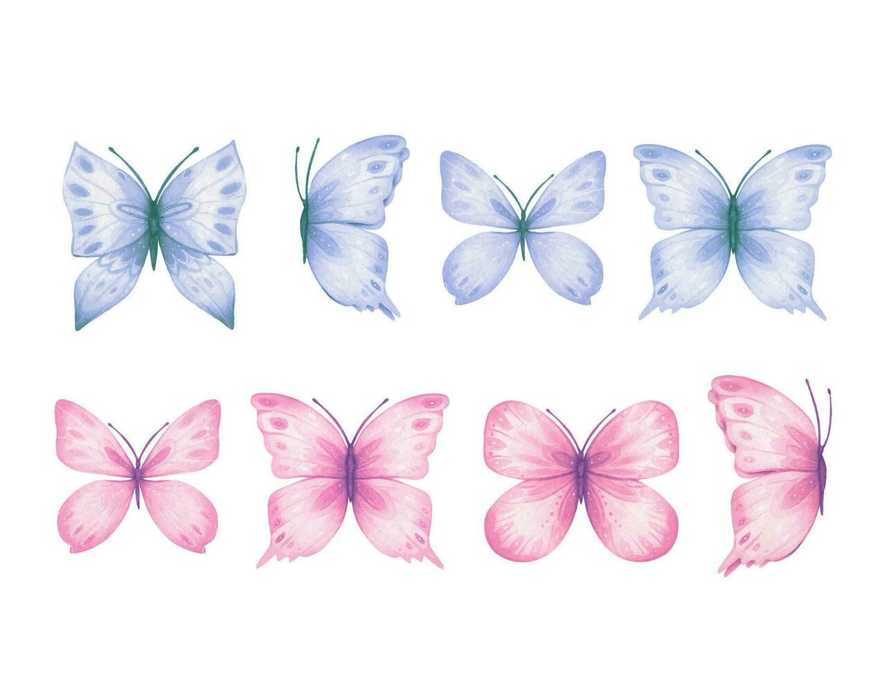 impostato con rosa e blu farfalle, acquerello illustrazione. vettore
