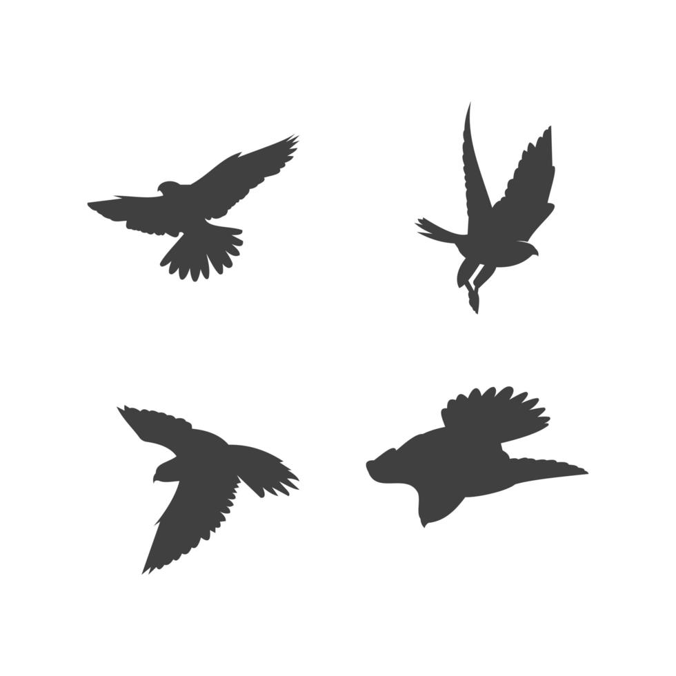 modello di progettazione del logo del falco, illustrazione dell'icona, volo vettore