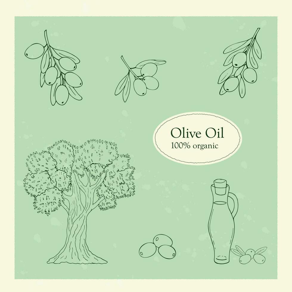 disegnato a mano schema oliva illustrazione, isolato su un' verde sfondo. oliva olio, oliva albero, e oliva ramo vettore illustrazione.