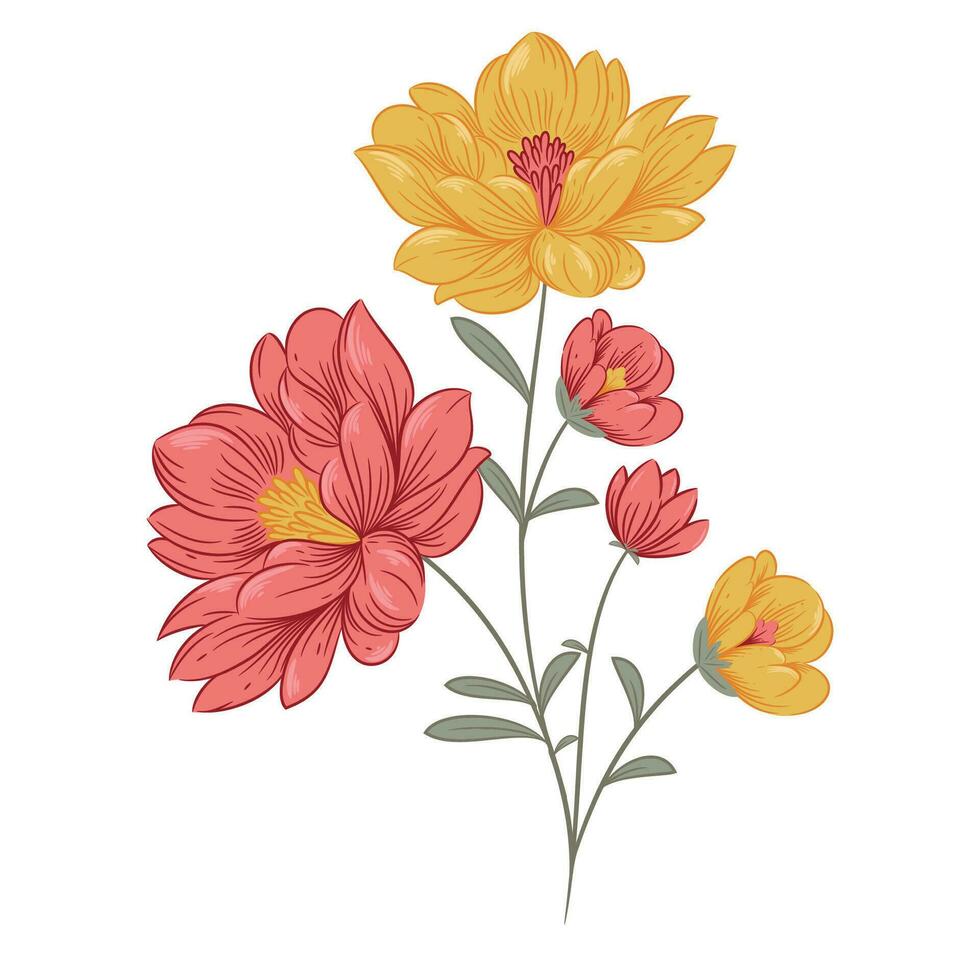 rosa fioritura pianta, fioritura fiore, subshrub isolato su bianca sfondo. mano disegnato dettagliato botanico vettore illustrazione.