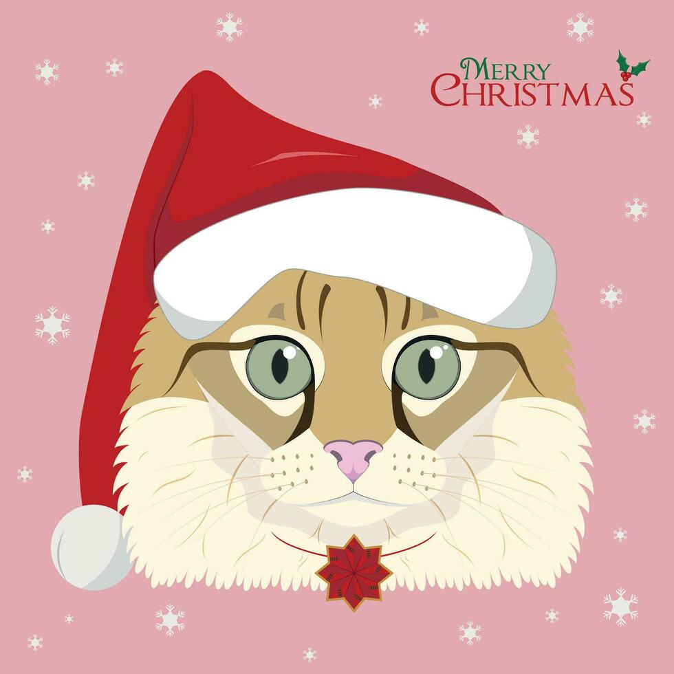 Natale saluto carta. americano arricciare gatto con rosso Babbo Natale cappello e un' Natale ornamento vettore