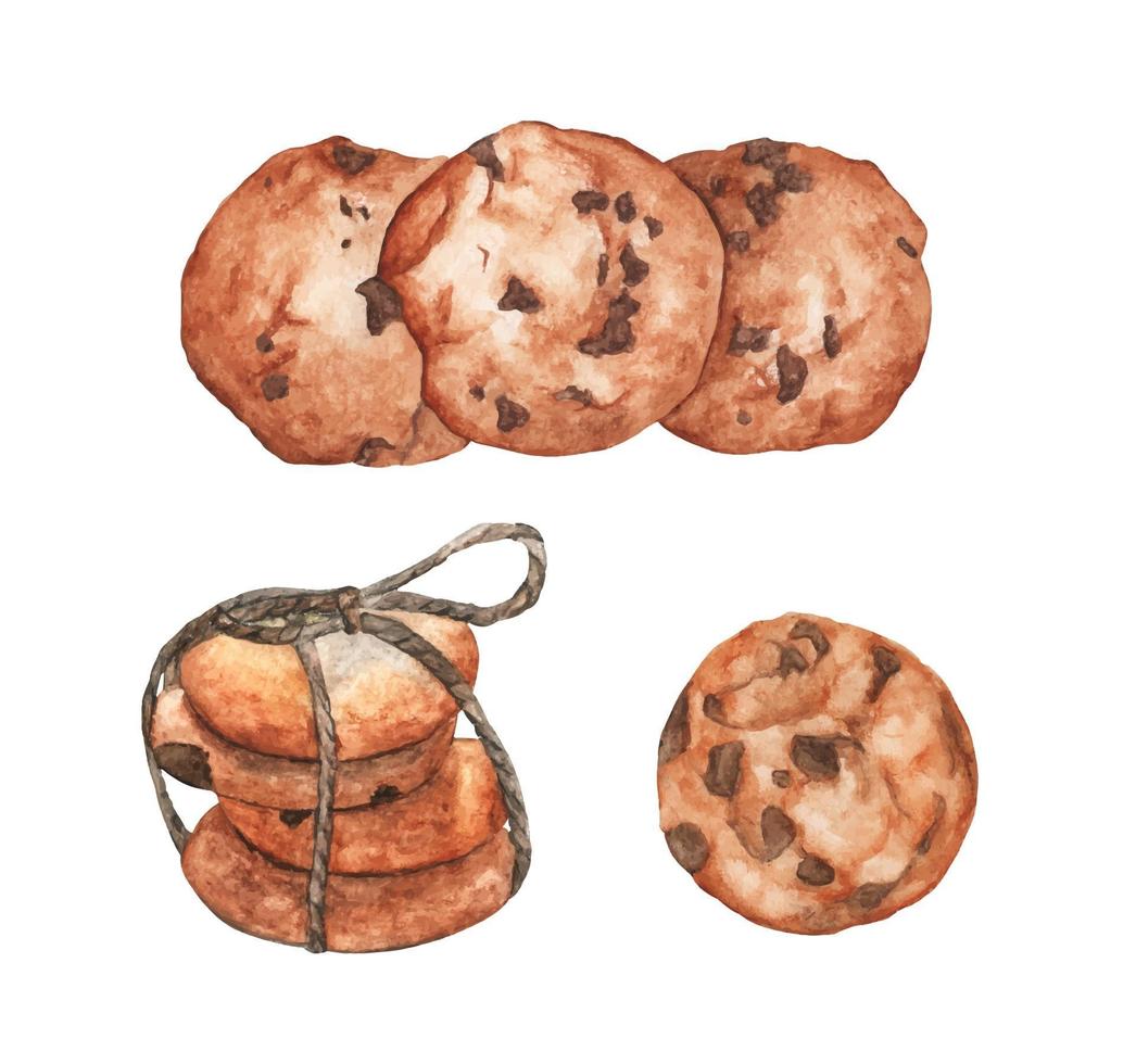 set di biscotti al cioccolato. illustrazione dell'acquerello. vettore